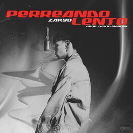 Album cover of PERREANDO LENTO