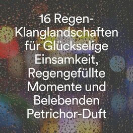 Album cover of 16 Regen-Klanglandschaften für Glückselige Einsamkeit, Regengefüllte Momente und Belebenden Petrichor-Duft