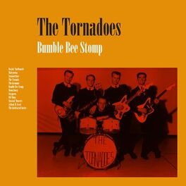 Album cover of Bumble Bee Stomp