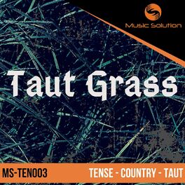 Album cover of Taut Grass