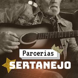 Album cover of Parcerias Sertanejo