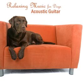 Album cover of Relaxing Music for Dogs - Acoustic Guitar Songs