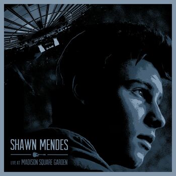 Shawn Mendes - LETRAS