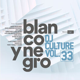 Album cover of Blanco Y Negro DJ Culture Vol. 33