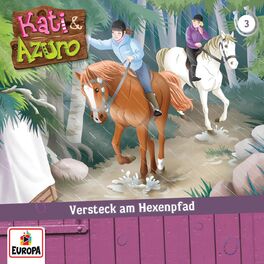Album cover of 03/Versteck am Hexenpfad