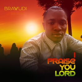 Album cover of I Praise You Lord