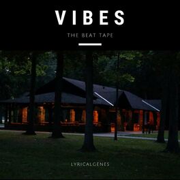 Album cover of Vibes (The Beat Tape)