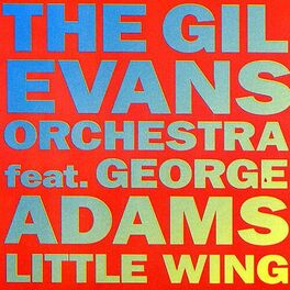 Album cover of Little Wing