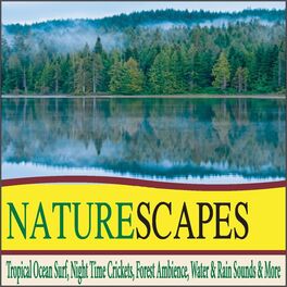 Album cover of Naturescapes: Tropical Ocean Surf, Night Time Crickets, Forest Ambience, Water & Rain Sounds & More