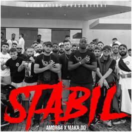 Album cover of Stabil