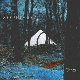 Album cover of Other