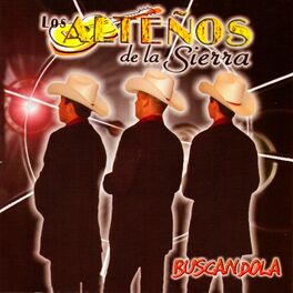 Album cover of Buscándola
