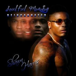 Album cover of Soulful Moaning: Reincarnated