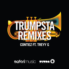 Album cover of Trumpsta (Remixes)