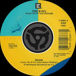 Album cover of Roam (Edit) / Bushfire [45 Version]