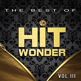 Album cover of Hit Wonder: The Best of, Vol. 111