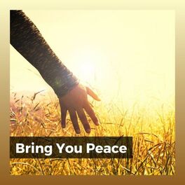 Album cover of Bring You Peace