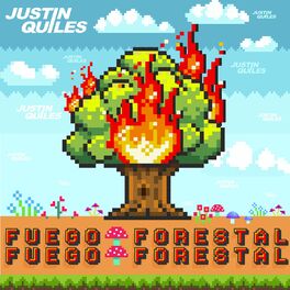 Album cover of Fuego Forestal