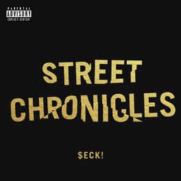Album cover of Street Chronicles