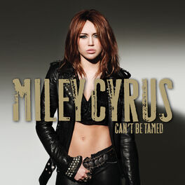 Album cover of Can't Be Tamed