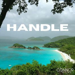 Album cover of Handle