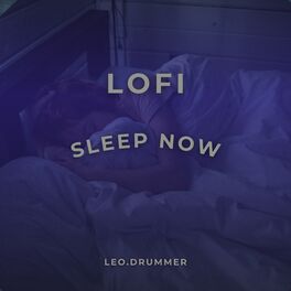 Album cover of Lofi Sleep Now