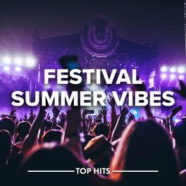 Album cover of Festival Summer Vibes 2022