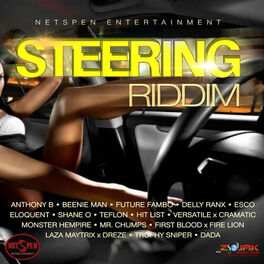 Album cover of Steering Riddim