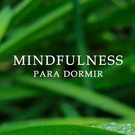 Album cover of Mindfulness Para Dormir