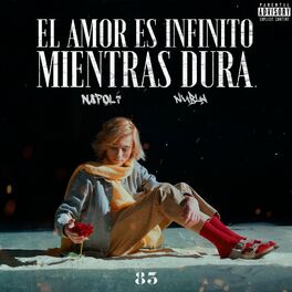 Album cover of El amor es infinito mientras dura