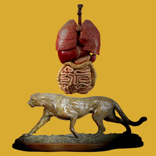 Lil Ugly Mane Forever I B Stangin Listen With Lyrics Deezer