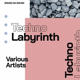 Album cover of Techno Labyrinth