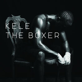 Album cover of The Boxer