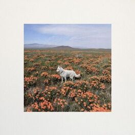 Album cover of Kingdom Of Coldness