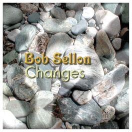 Album cover of Changes
