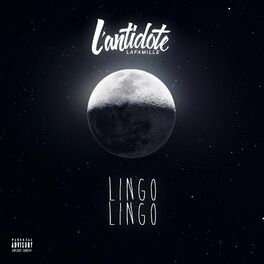 Album cover of Lingo Lingo