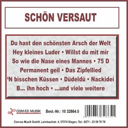 Album cover of Schön versaut