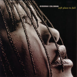 Album cover of Soft Place To Fall