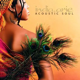Album cover of Acoustic Soul