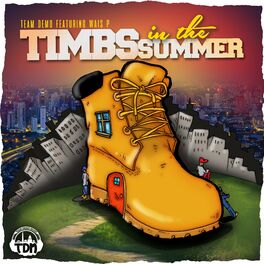 Album cover of Timbs in the Summer