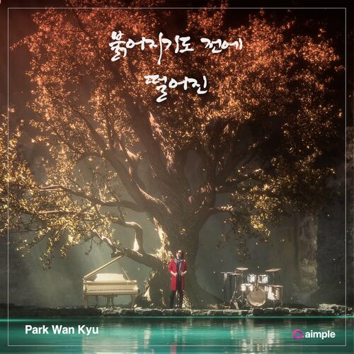 Park wan kyu