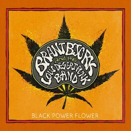 Album cover of Black Power Flower