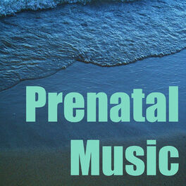 Album cover of Prenatal Music