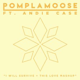 Album cover of I Will Survive + This Love Mashup