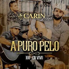 Album cover of A Puro Pelo (En Vivo)