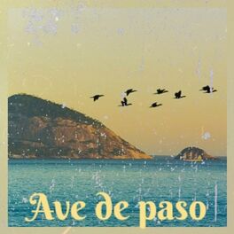 Album cover of Ave De Paso