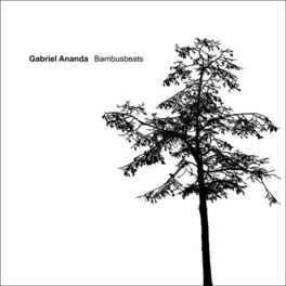 Album cover of Bambusbeats
