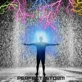 Album cover of Perfect Storm (feat. Shemy)
