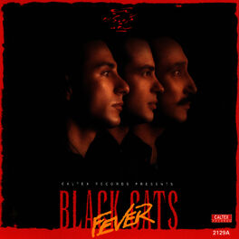 Album cover of Black Cats Fever - Persian Music