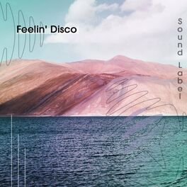 Album cover of Feelin' Disco